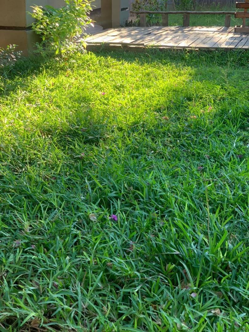 Jungle Breeze Home Stay Kasane Exterior foto